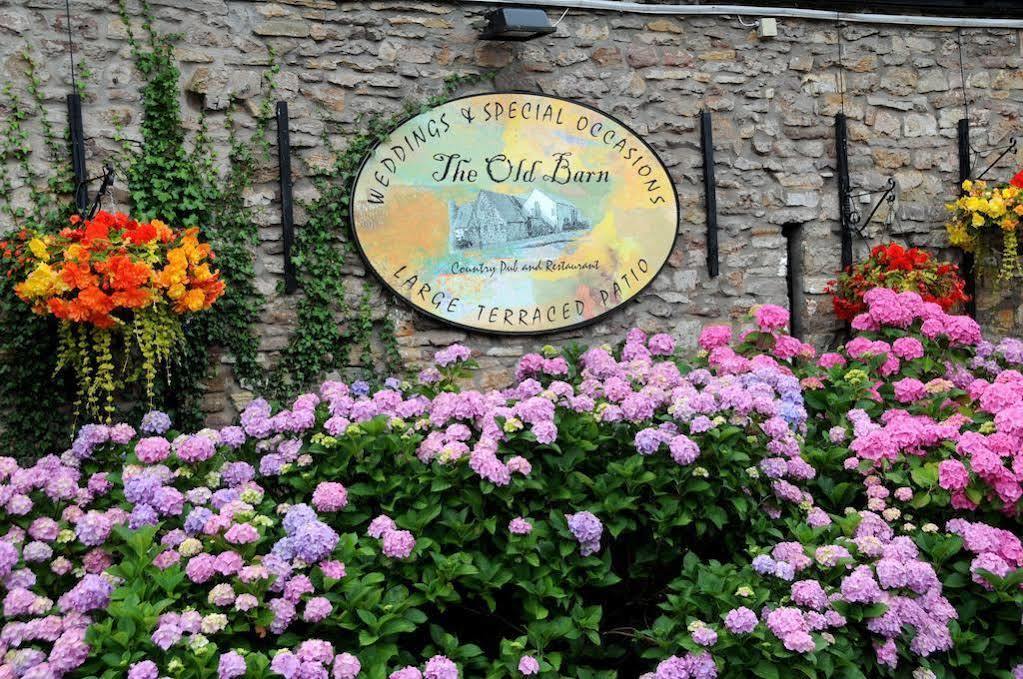 The Old Barn Inn Newport  Eksteriør billede