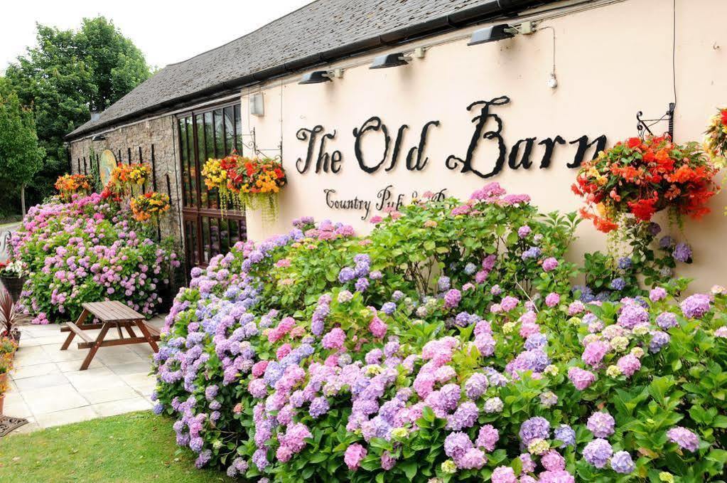 The Old Barn Inn Newport  Eksteriør billede